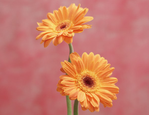 ご利用方法写真