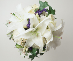 カウンセラー写真