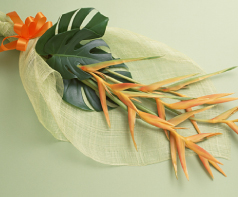 カウンセラー写真