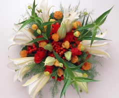 カウンセラー写真