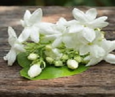 カウンセラー写真