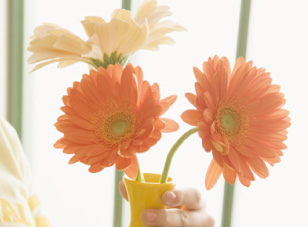 Vivre Mieuxの安心宣言！写真